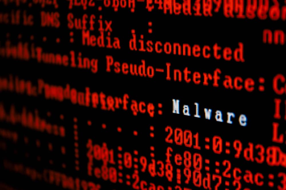 What is Malware