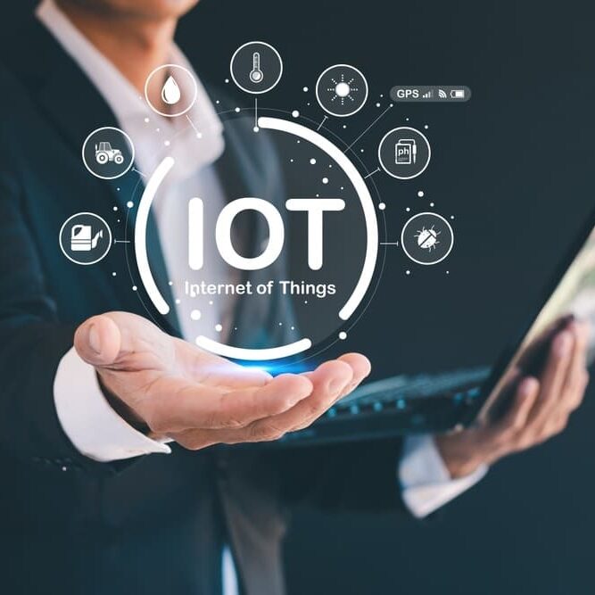 Internet of things IOT devices and network connection